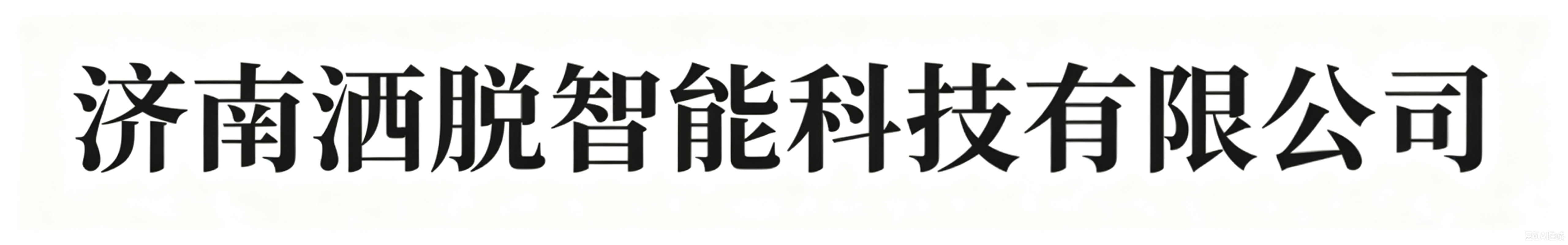济南洒脱智能科技有限公司